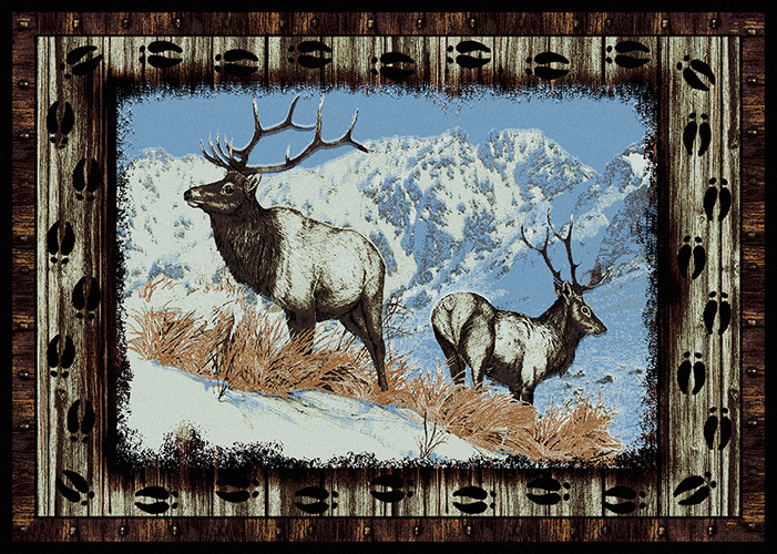 Country Western Area Rugs