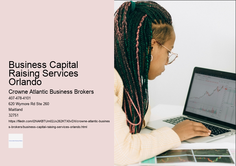 Business Capital Raising Services Orlando