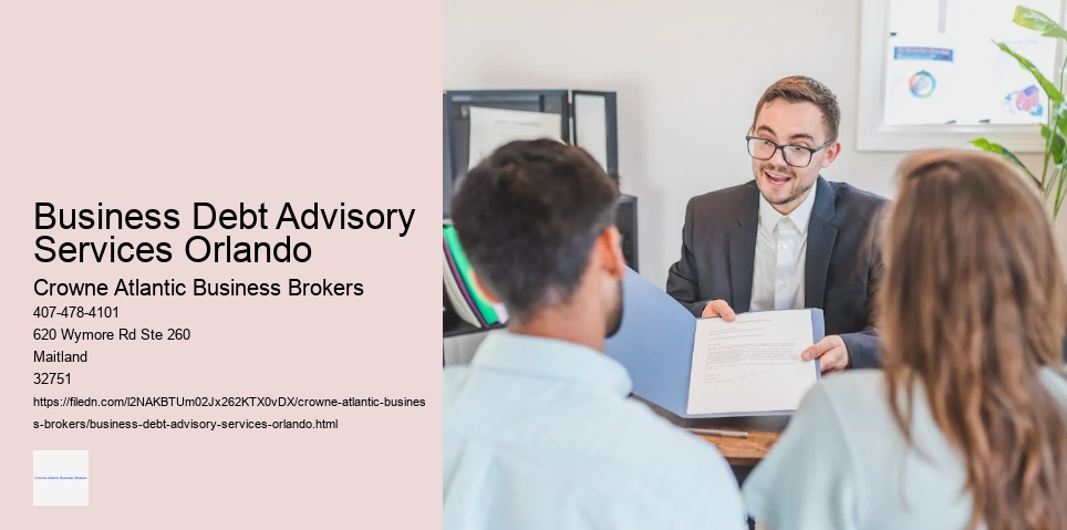 Business Debt Advisory Services Orlando
