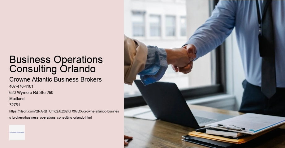 Business Operations Consulting Orlando