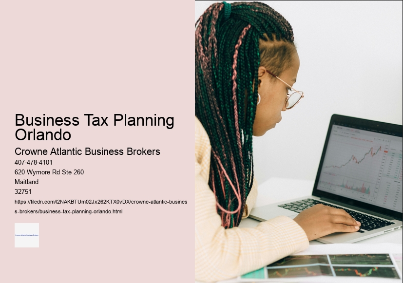 Business Tax Planning Orlando