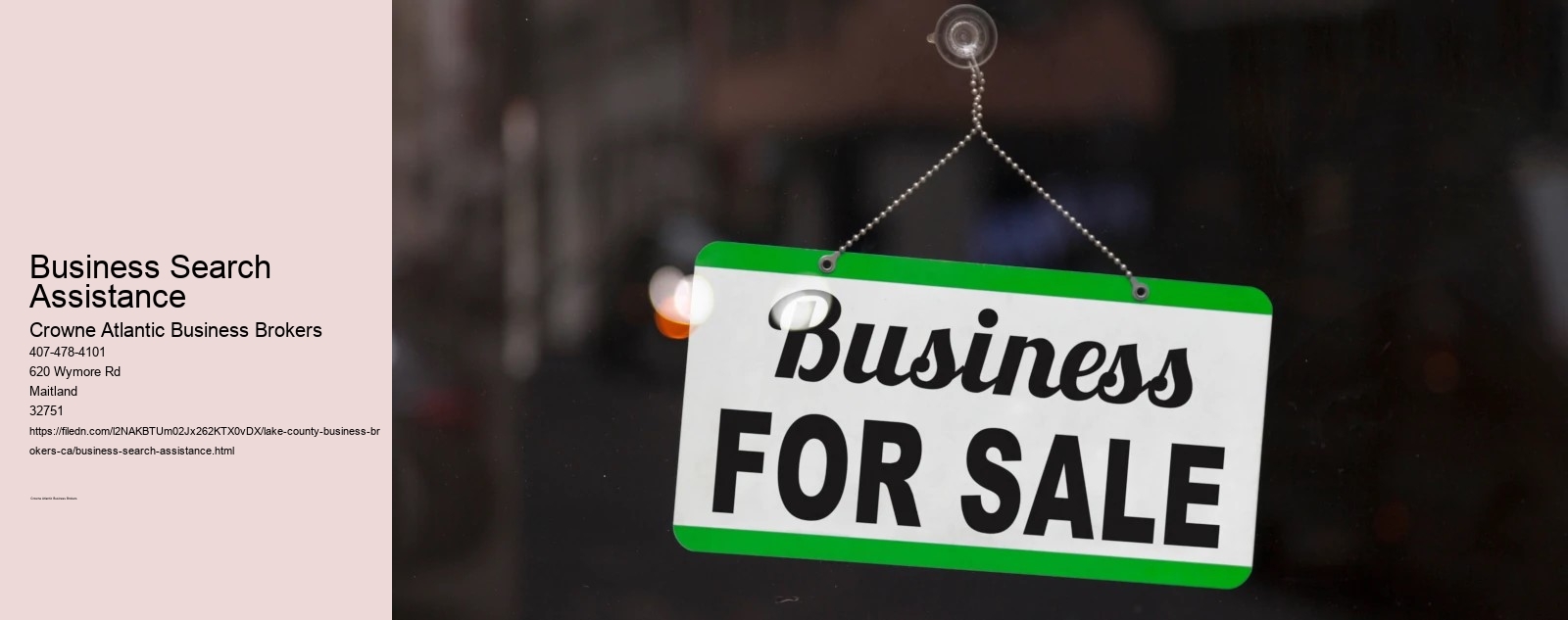 Business Search Assistance