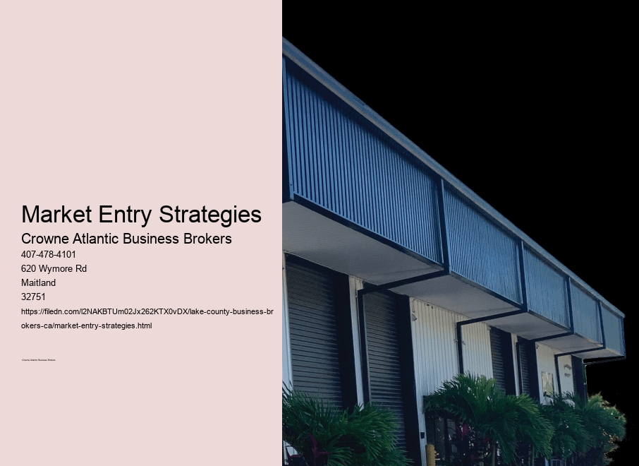 Market Entry Strategies