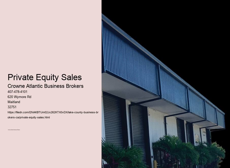 Private Equity Sales