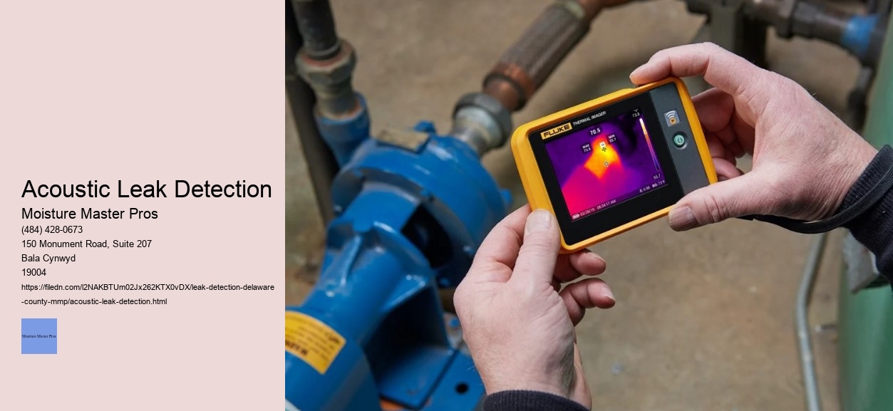 Acoustic Leak Detection