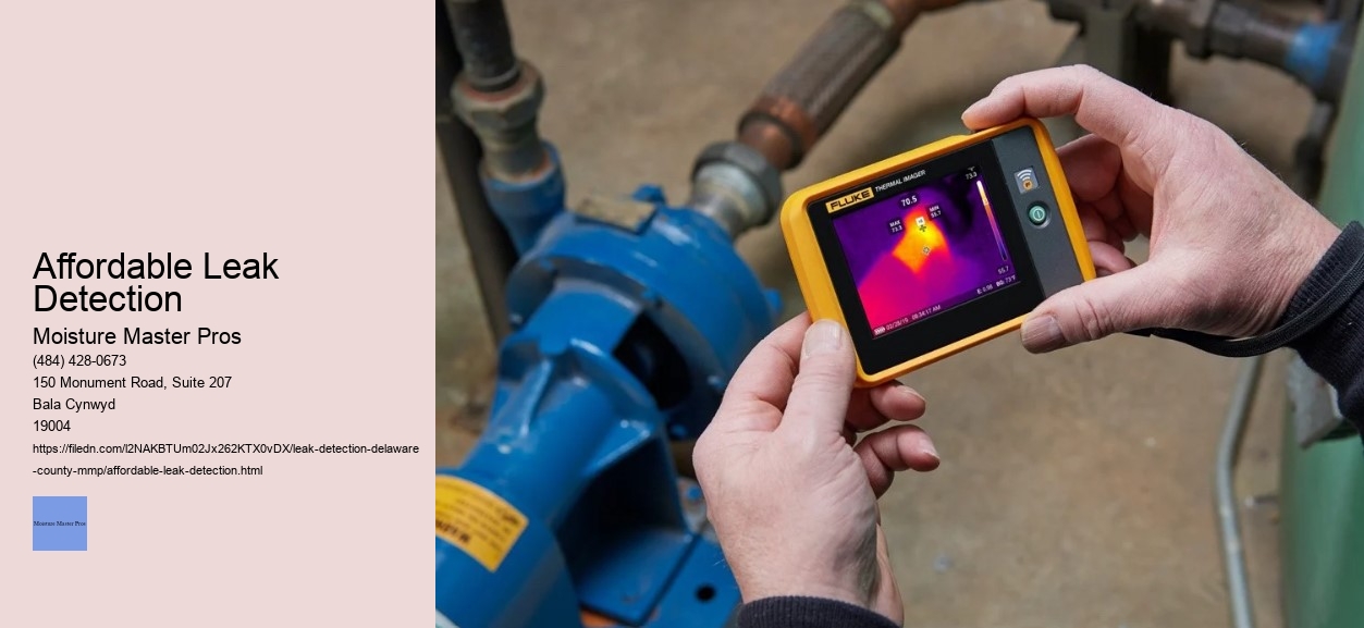 Affordable Leak Detection