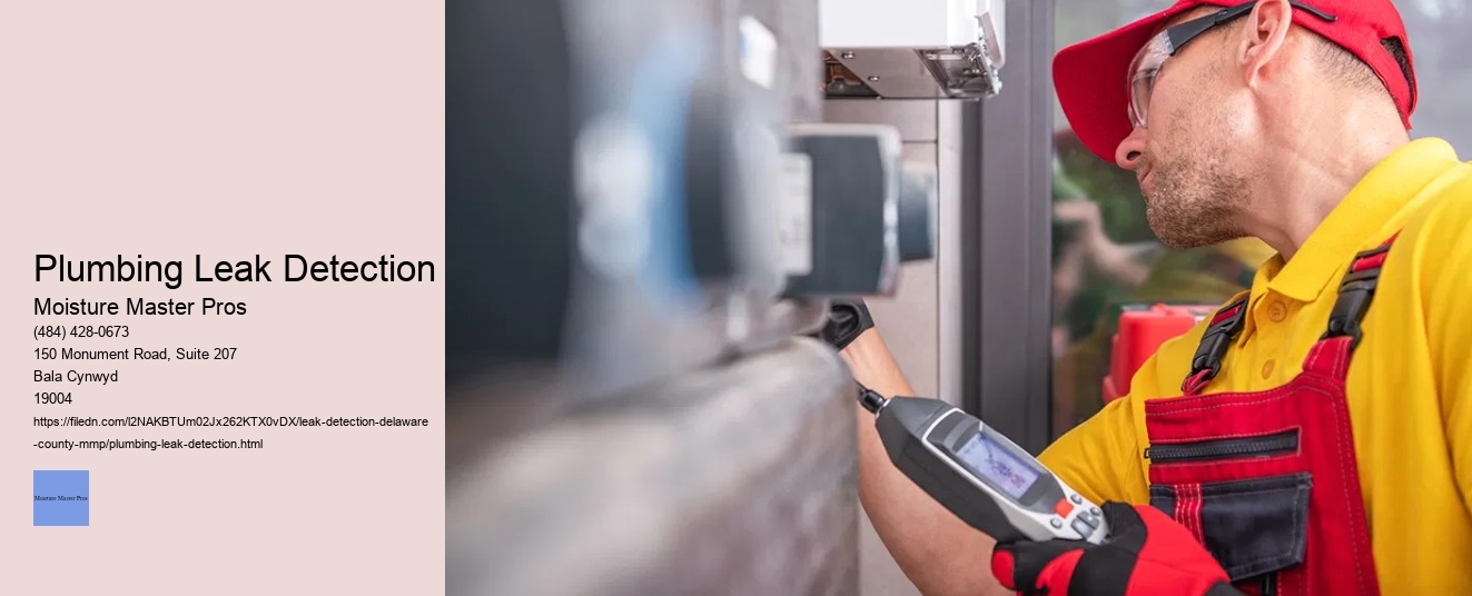 Plumbing Leak Detection