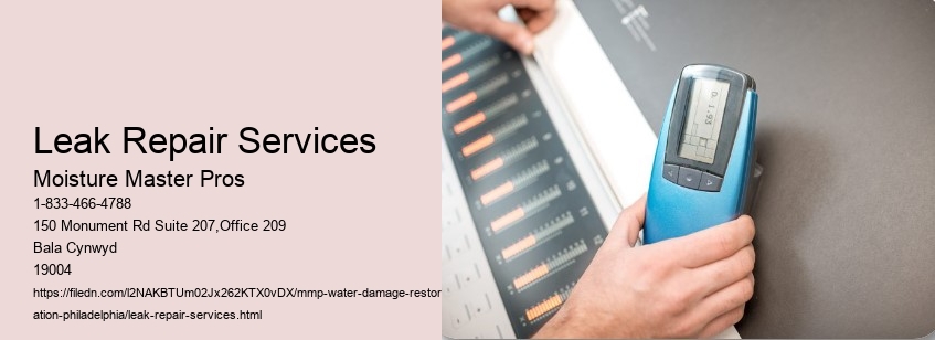 Leak Repair Services