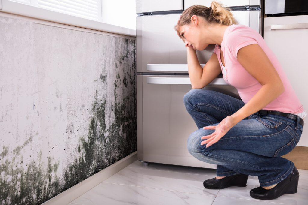 How to Choose a Reliable Mold Remediation Company in Philadelphia