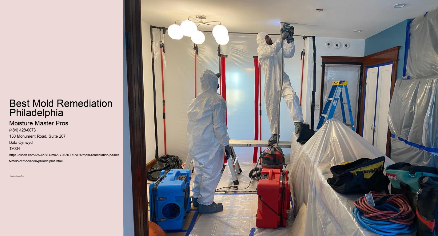 Best Mold Remediation Philadelphia