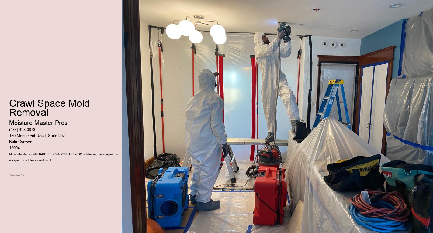 Crawl Space Mold Removal