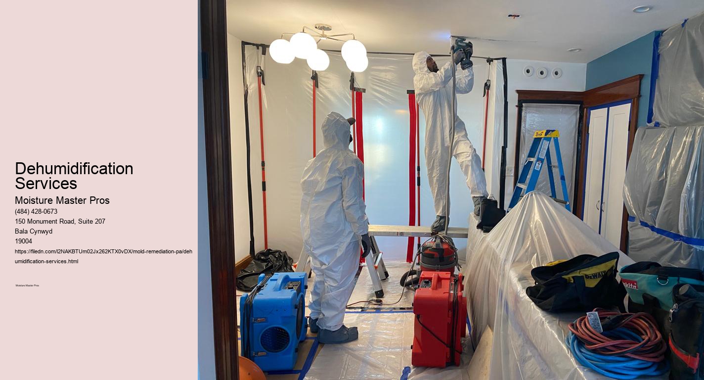 Dehumidification Services