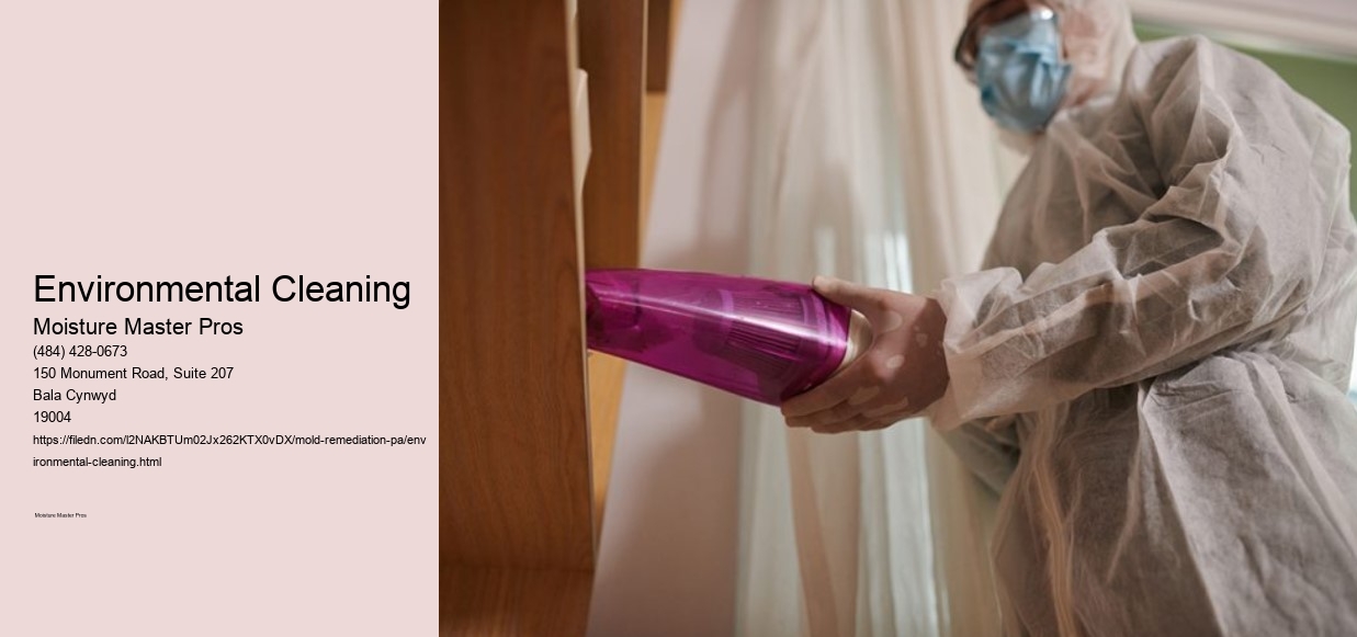 Environmental Cleaning