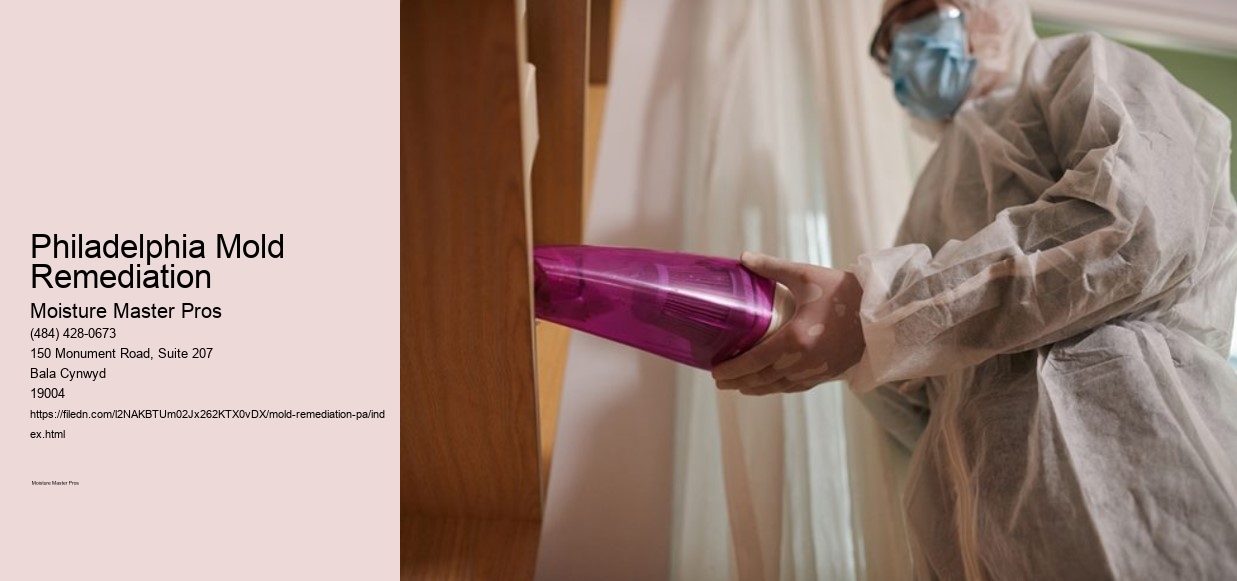 Philadelphia Mold Remediation