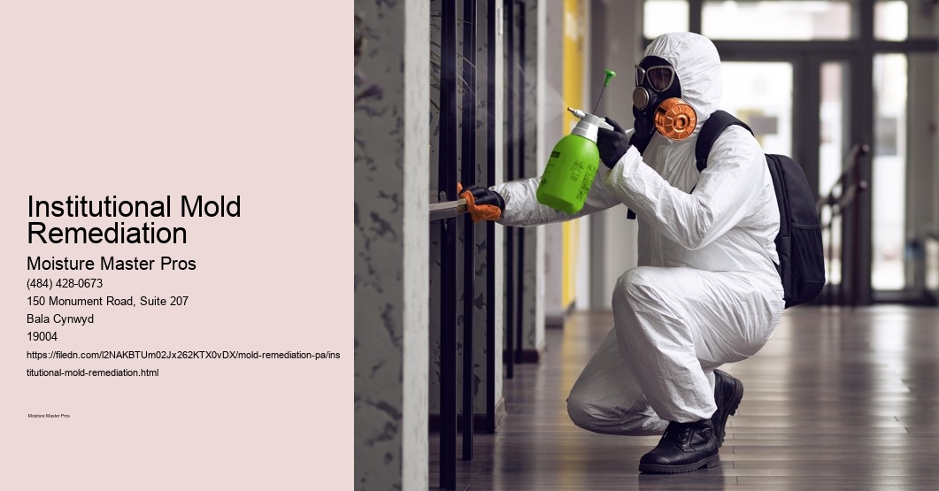Institutional Mold Remediation