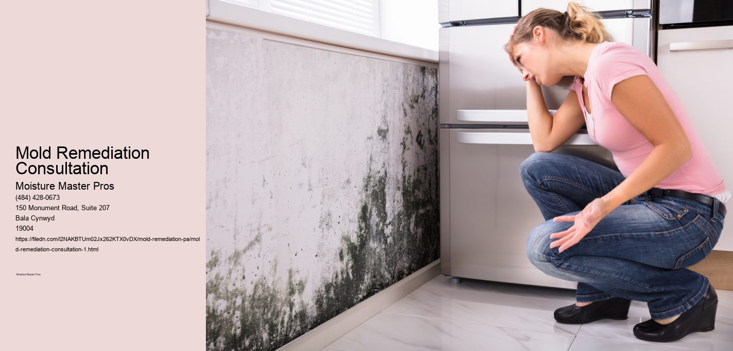 Mold Remediation Consultation