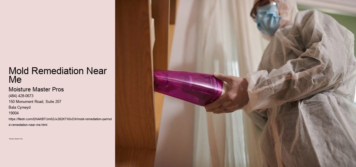 Mold Remediation Near Me