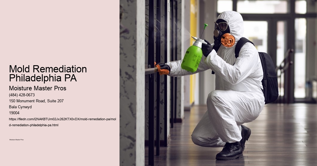Mold Remediation Philadelphia PA