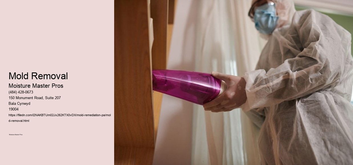Mold Removal