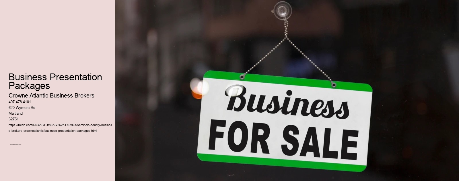 Business Presentation Packages