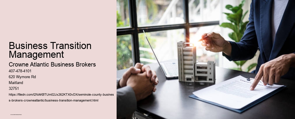 Business Transition Management