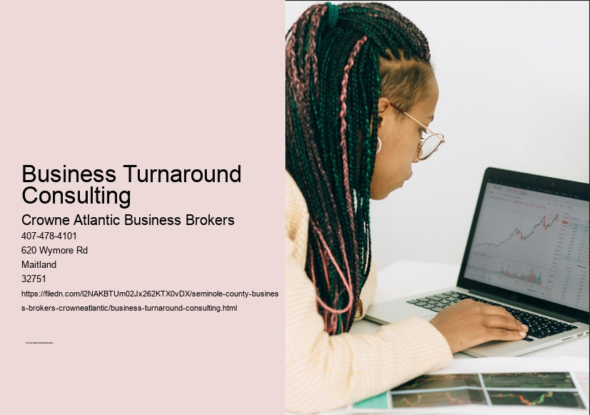 Business Turnaround Consulting
