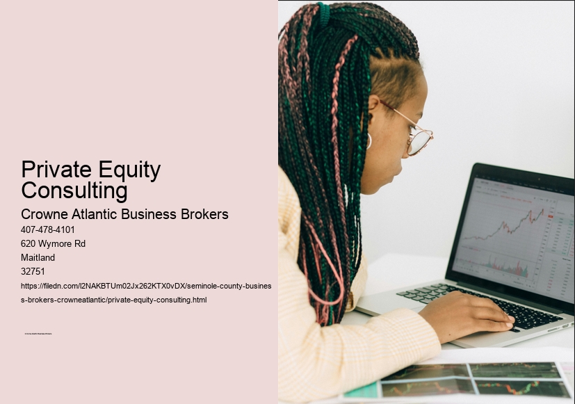 Private Equity Consulting