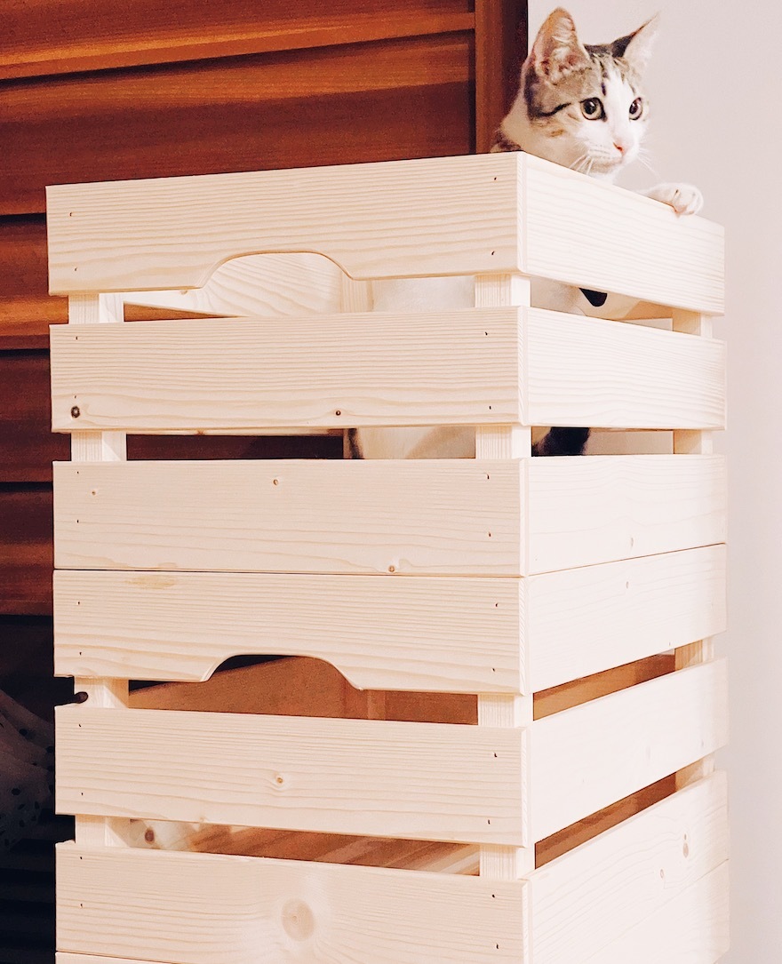 木箱貓窩