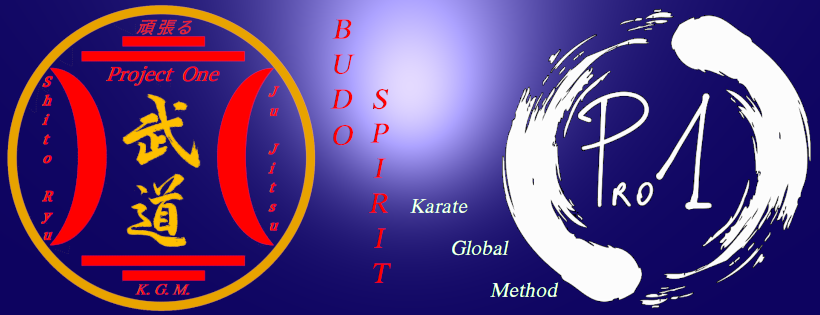 Karate Global Method