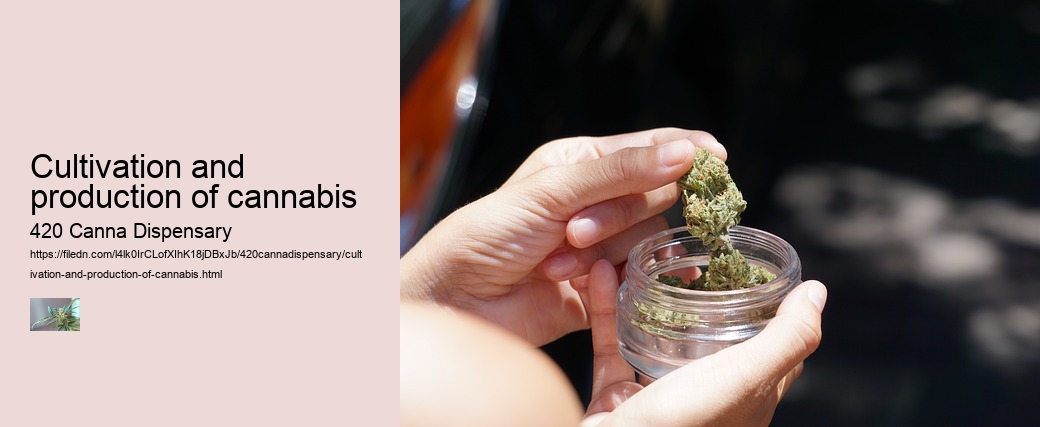 Cultivation and production of cannabis