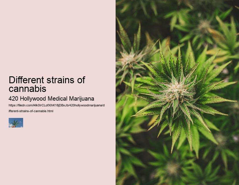 Different strains of cannabis