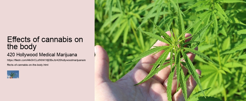 Effects of cannabis on the body