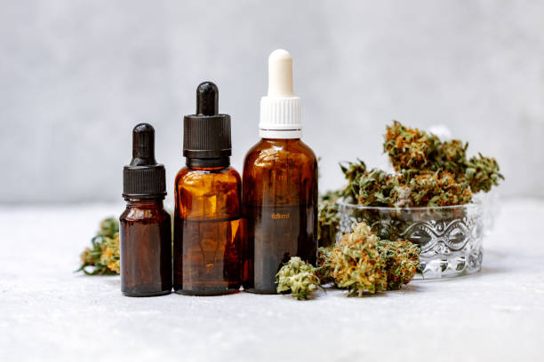 What is the impact of terpene profiles on cannabis product popularity?