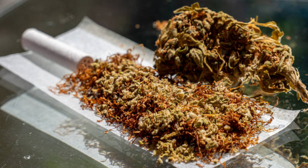 How to Incorporate Cutting-Edge Cannabis Innovations into Your Daily Routine