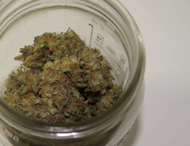 What is the latest cannabis-infused beverage trend?