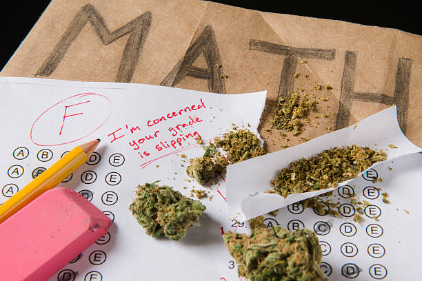 Learn How to Stay Updated on the Latest Trends in the Cannabis Industry