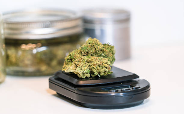 Discover the Top-Rated Cannabis Dispensaries in Your Area