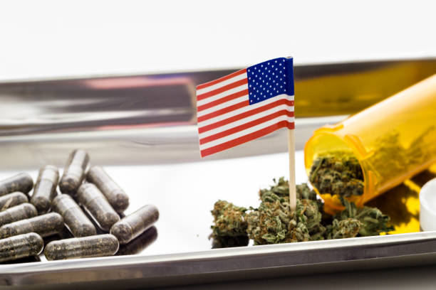 Latest cannabis products and strains available at dispensaries