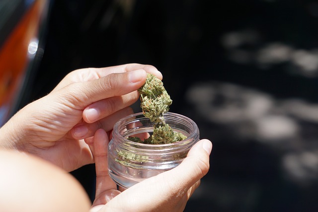 Inventory Management and Compliance in the Cannabis Industry