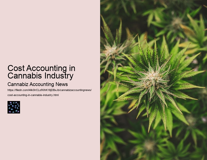 Cost Accounting in Cannabis Industry