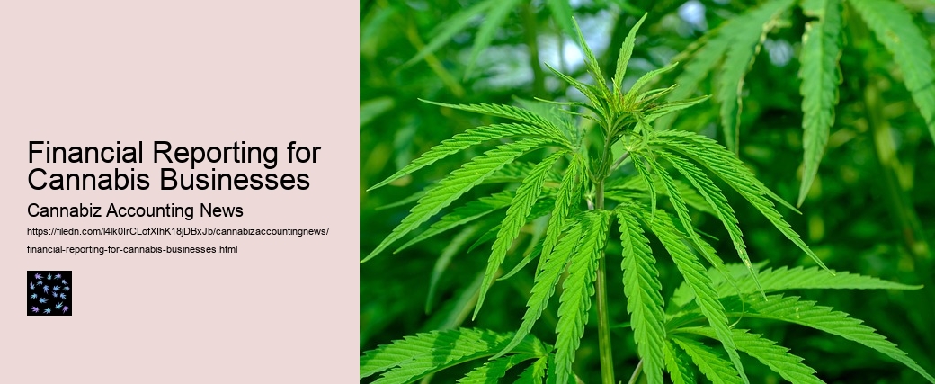 Financial Reporting for Cannabis Businesses