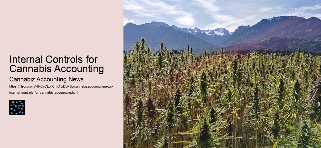 Internal Controls for Cannabis Accounting