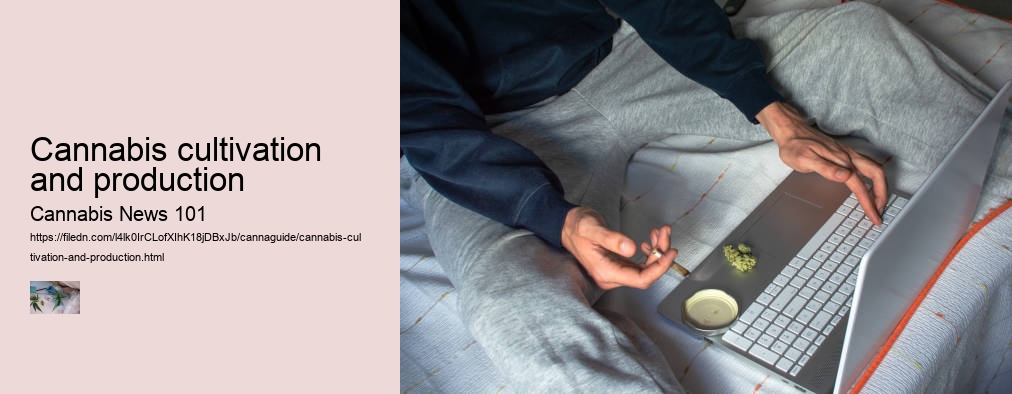 Cannabis cultivation and production