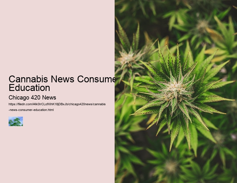 Cannabis News Consumer Education