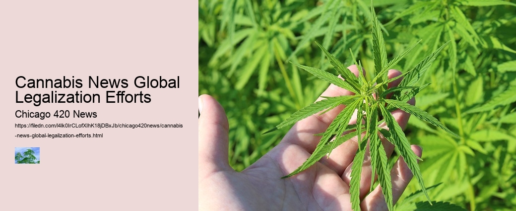 Cannabis News Global Legalization Efforts