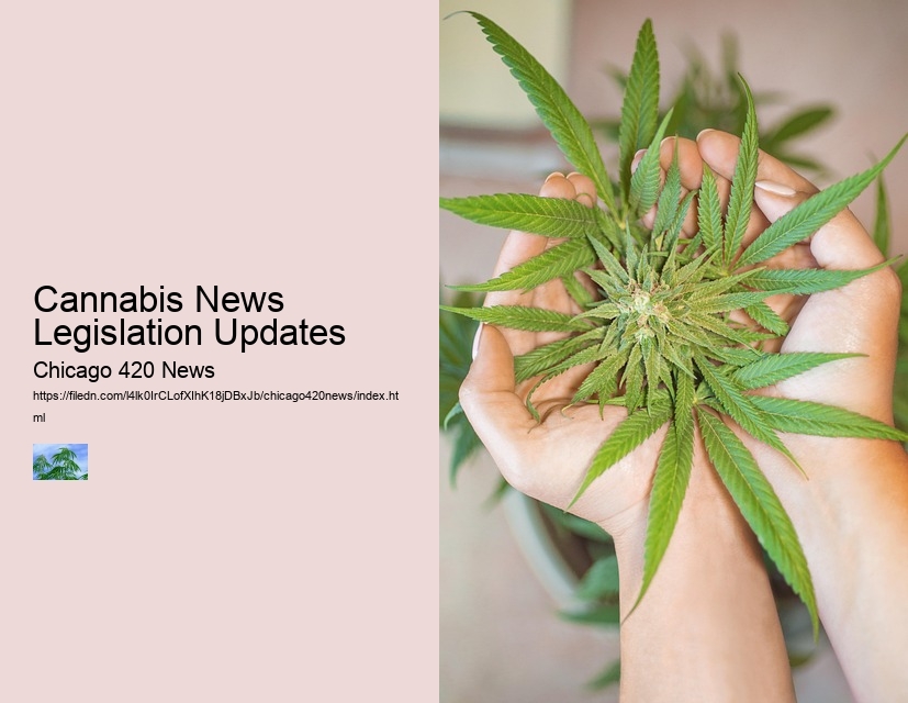 Cannabis News Legislation Updates