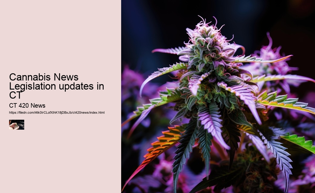 Cannabis News Legislation updates in CT