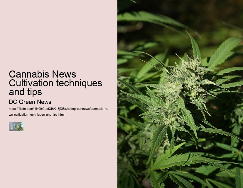 Cannabis News Cultivation techniques and tips