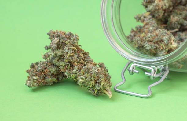 Tips for optimizing website content with relevant keywords and phrases 