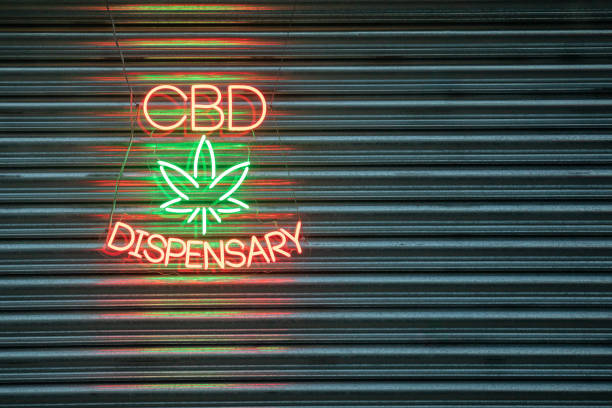 What is the importance of local SEO for medical marijuana dispensaries?